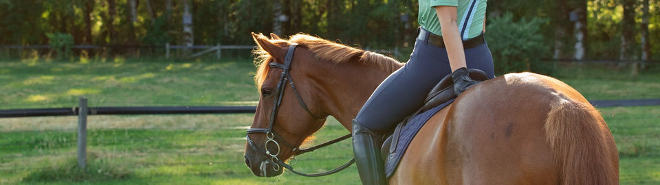 Womens/Breeches/KneePatch