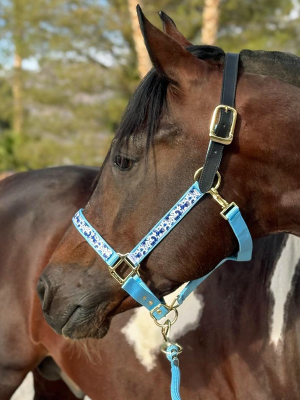 Anni Lyn Sportswear Premium Ribbon Halter with Lead Combo Pack