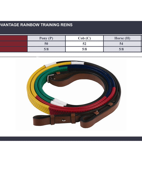 Henri de Rivel Advantage Rainbow Training Reins