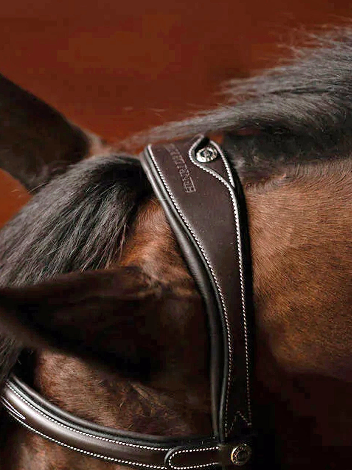 Henri de Rivel Jamaika Pro Anatomical Fancy Raised Wide Flash Noseband Bridle (Havana)