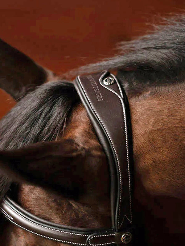 Henri de Rivel Jamaika Pro Anatomical Fancy Raised Wide Flash Noseband Bridle (Havana)