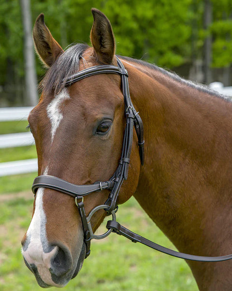 Henri de Rivel Pro Anatomical Bridle (Havana)