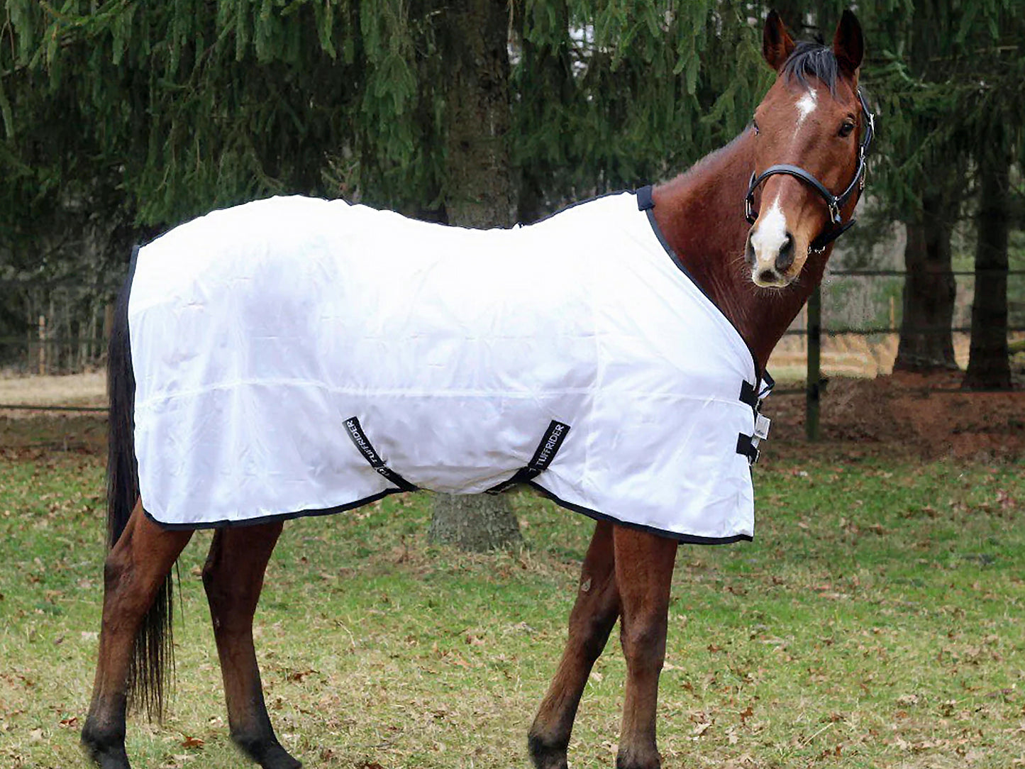 TuffRider Comfy Mesh Standard Neck Fly Sheet