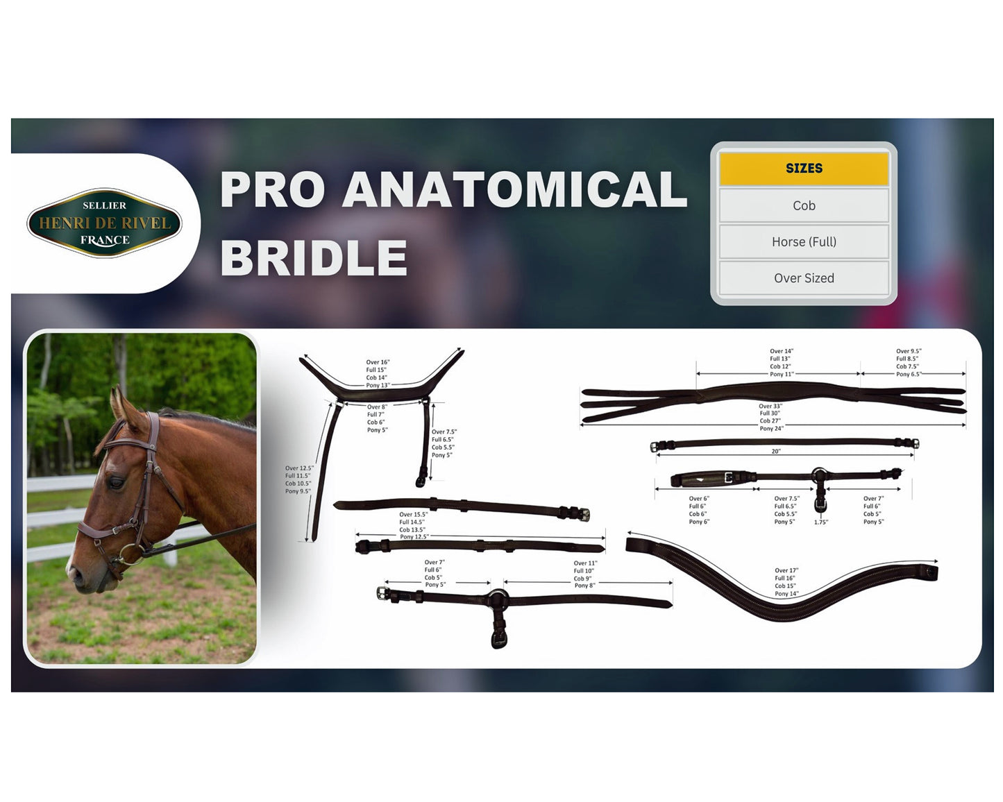 Henri de Rivel Pro Anatomical Bridle (Havana)