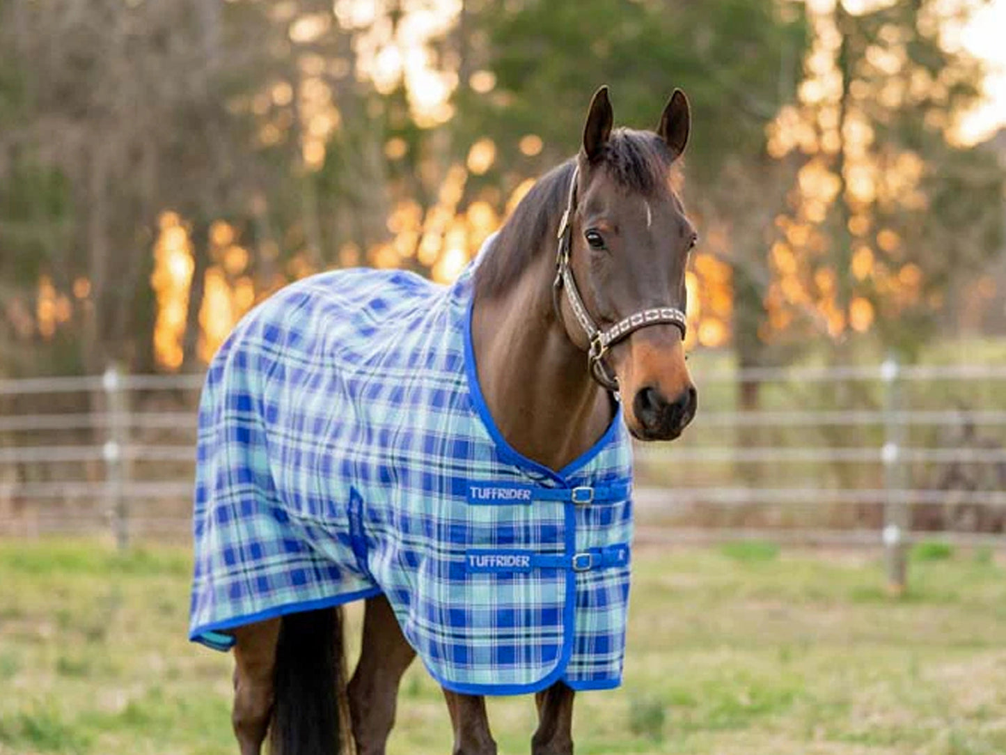 TuffRider Textilene Shoulder Lining Fly-Shield Sheet