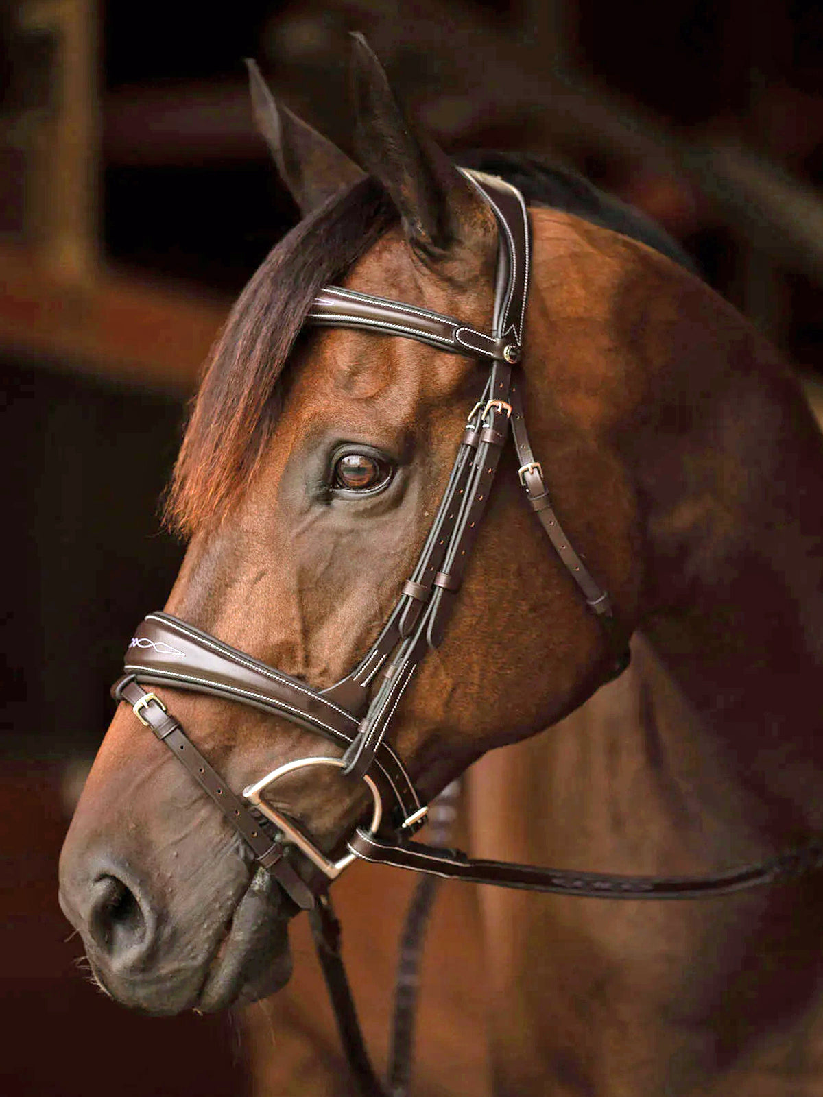 Henri de Rivel Jamaika Pro Anatomical Fancy Raised Wide Flash Noseband Bridle (Havana)