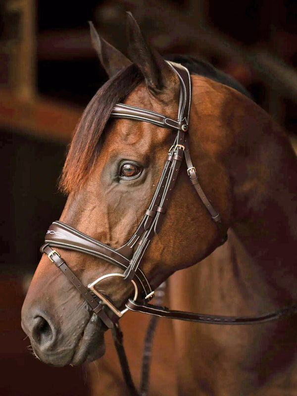 Henri de Rivel Jamaika Pro Anatomical Fancy Raised Wide Flash Noseband Bridle (Havana)