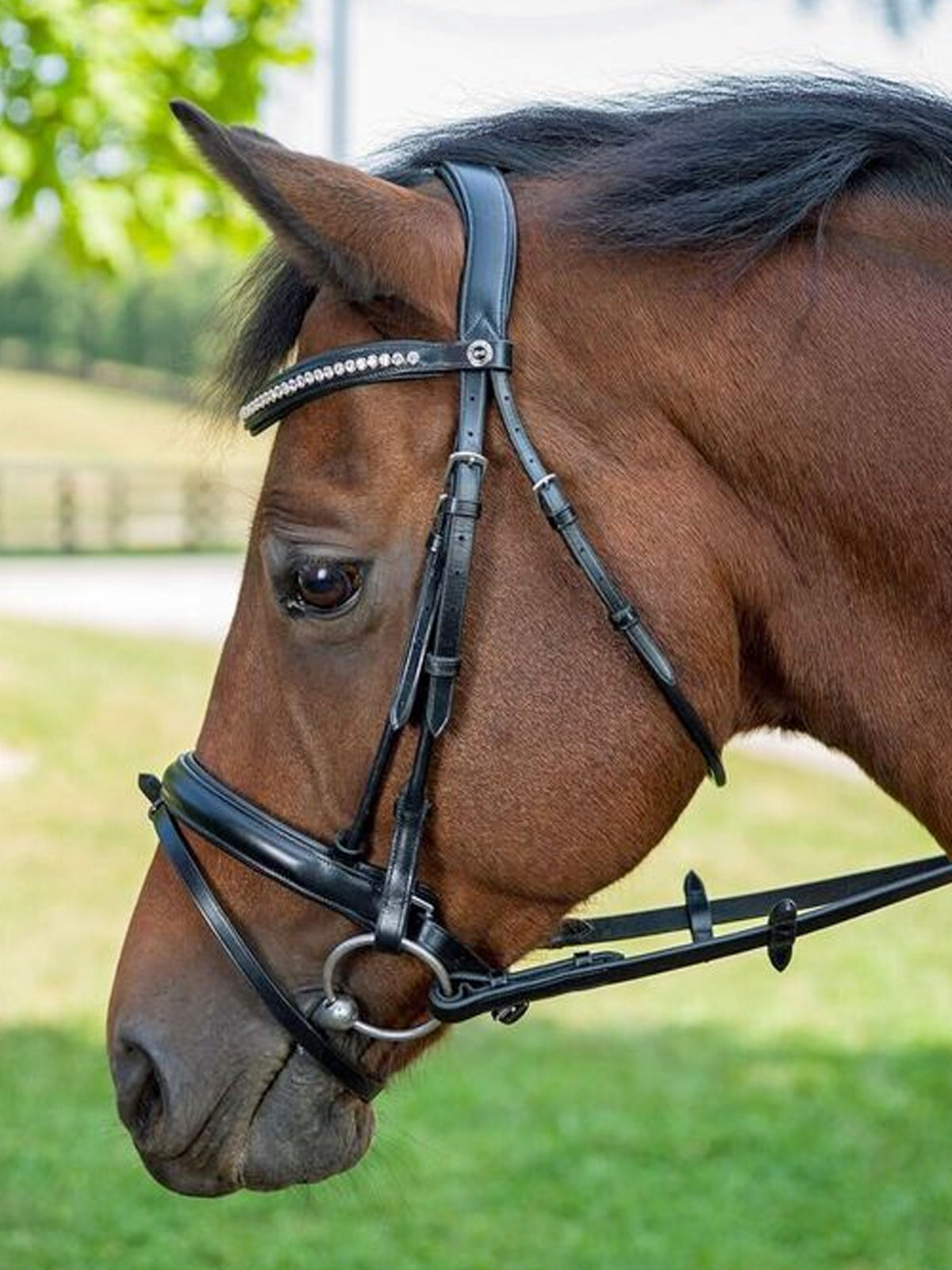 Henri de Rivel Diamonte Dressage Bridle (Black)