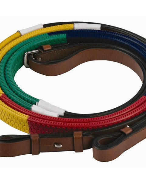 Henri de Rivel Advantage Rainbow Training Reins