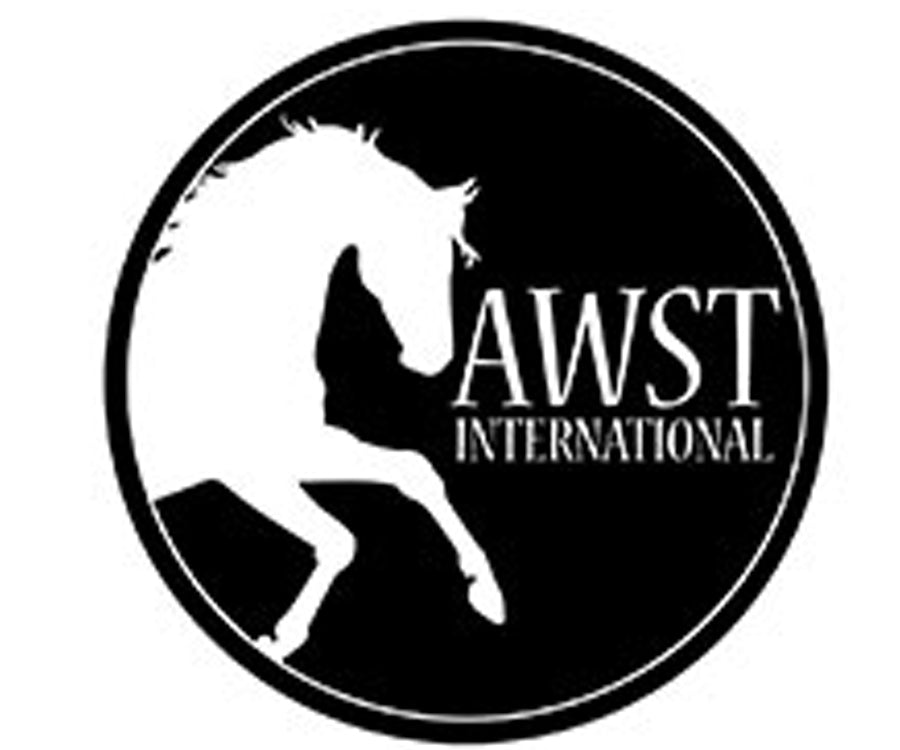 AWST International