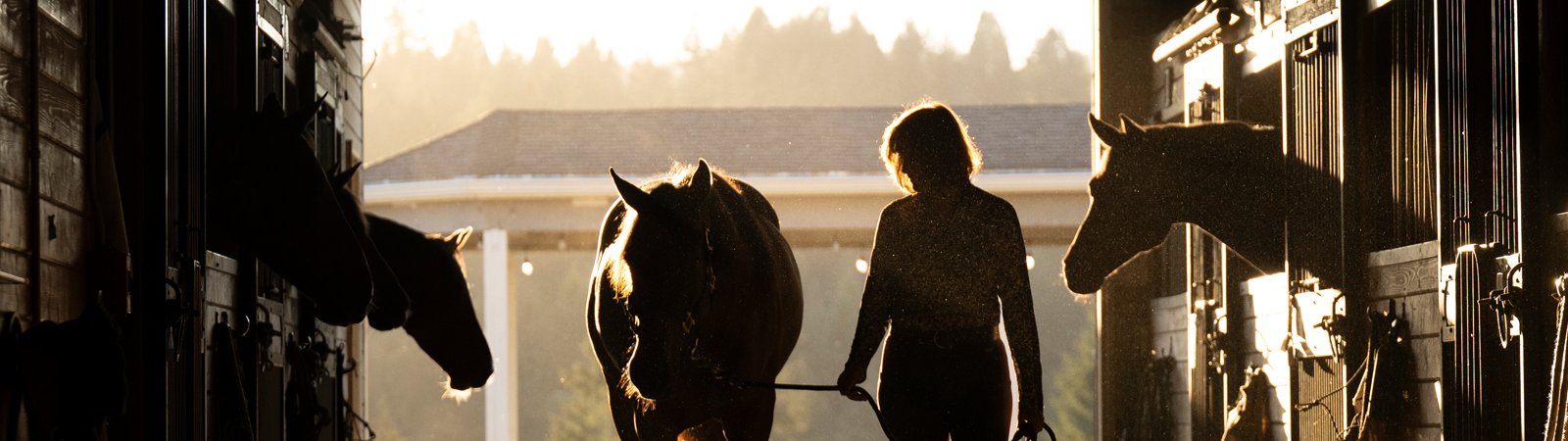 Barn and Horse Goods/BarnSupplies
