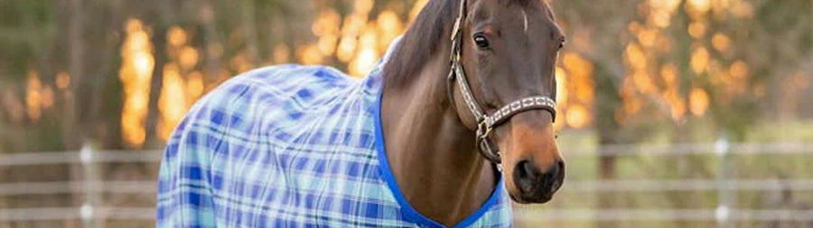 Barn and Horse Goods/HorseCare/FlySheets