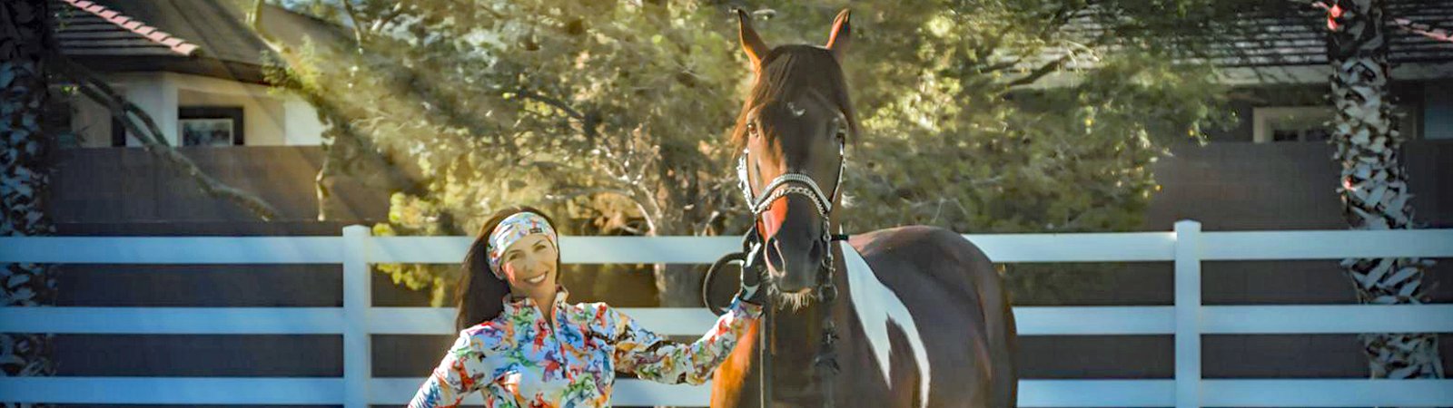 Tack Accessories/Bridles