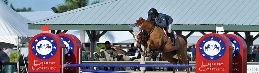 Equine Couture
