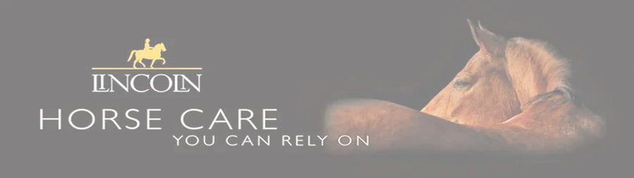Lincoln Horse Care