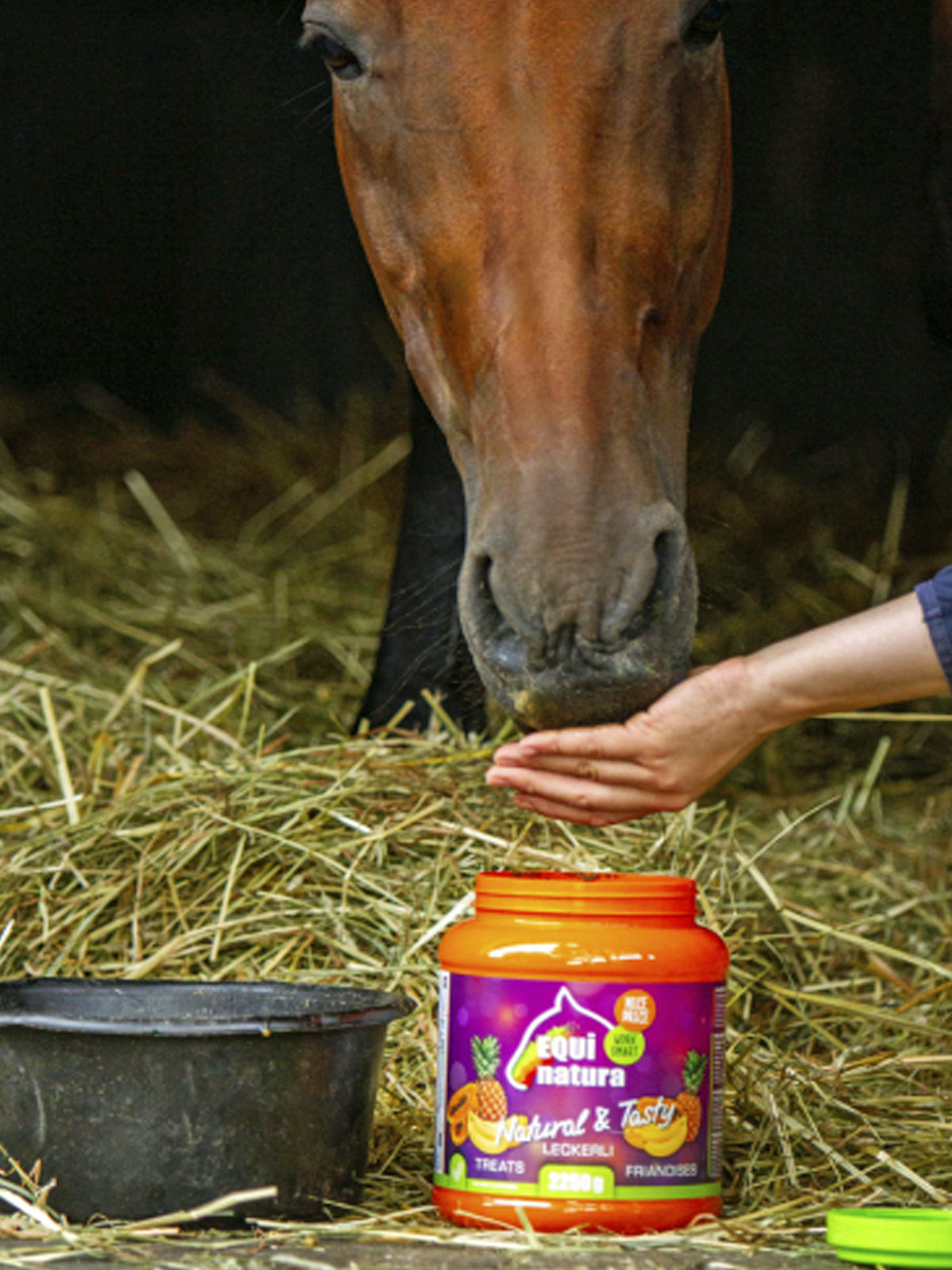 Equinatura Horse Treats - 2250 gram (approximately 5 lb) Pail