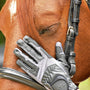 Anni Lyn Sportswear Women's Passage Riding Glove