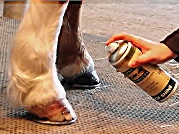 Supreme Horse Care Hoof Shine Spray - Clear - (400ml Spray Can)