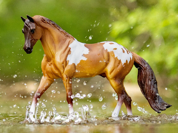 Breyer Horses - Red Dun Pintaloosa - Freedom Series