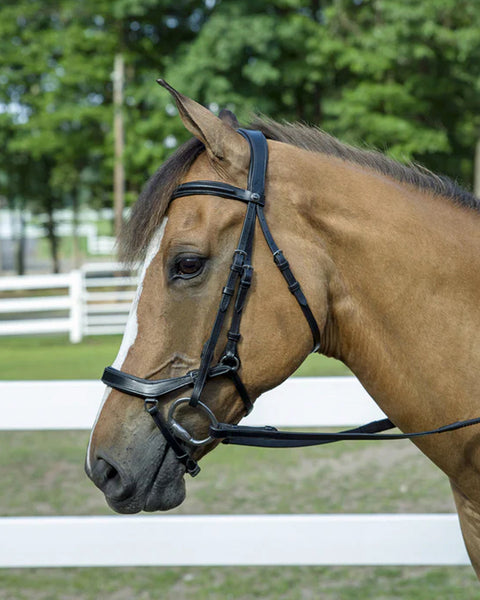 Henri de Rivel Pro Anatomical Bridle (Havana)