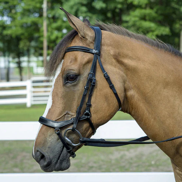 Henri de Rivel Pro Anatomical Bridle (Havana)