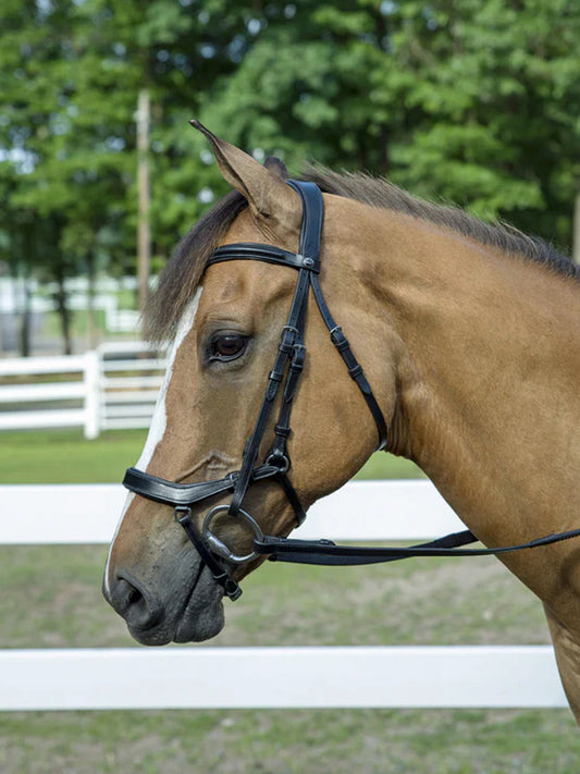 Henri de Rivel Pro Anatomical Bridle (Havana)