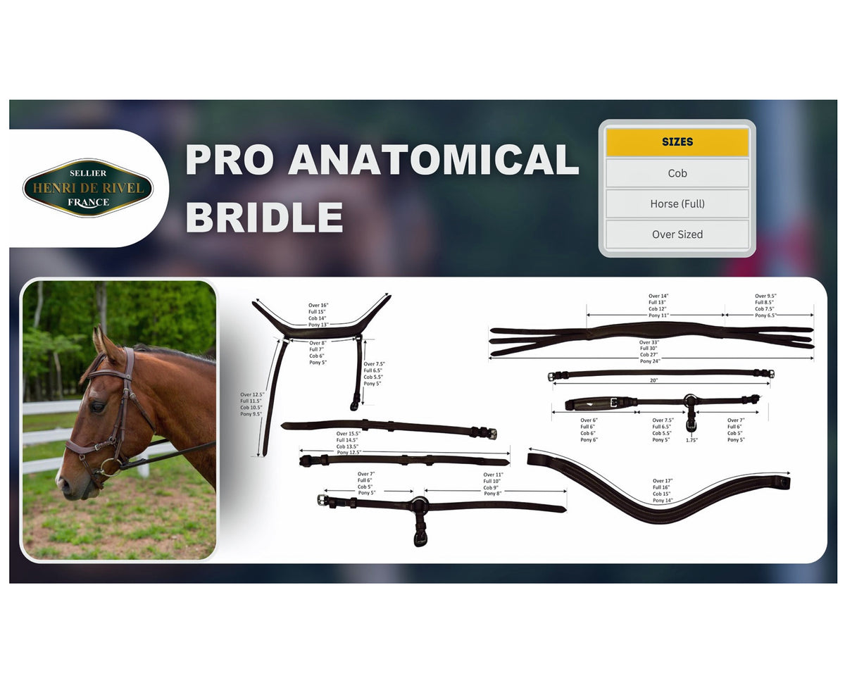 Henri de Rivel Pro Anatomical Bridle (Havana)