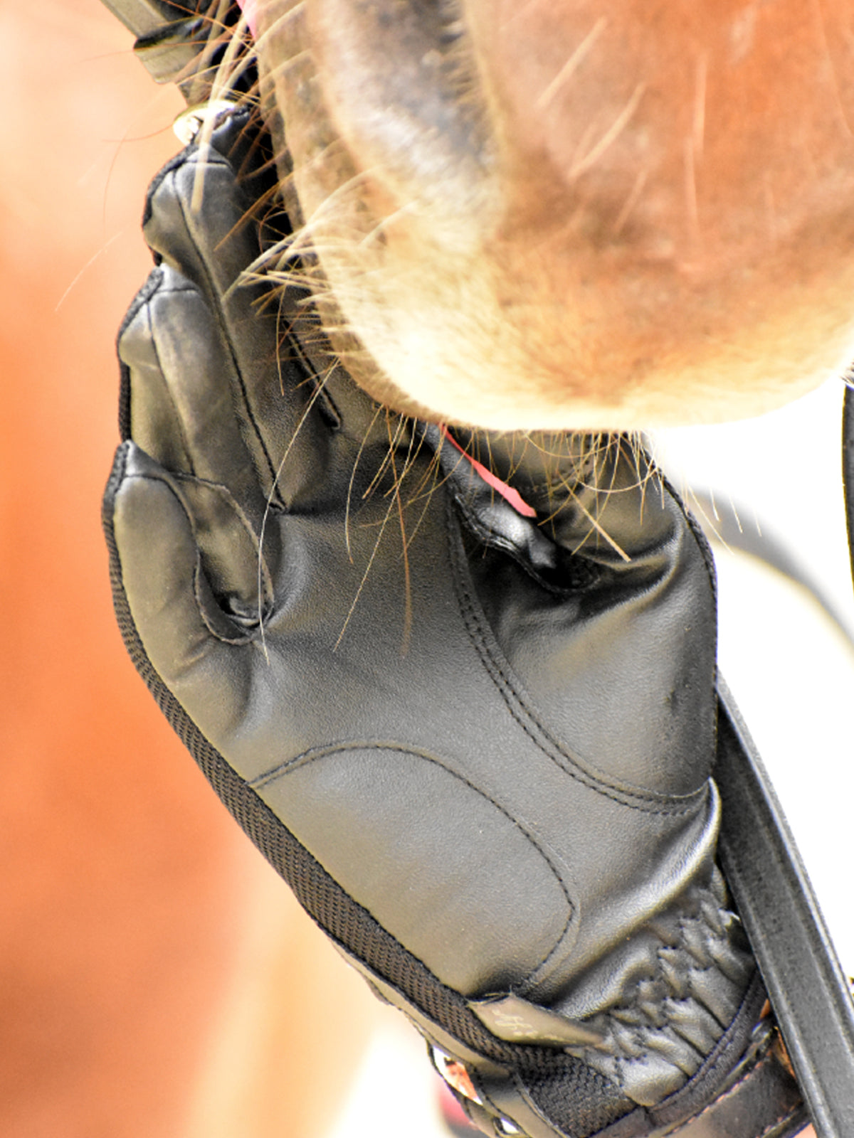 Anni Lyn Sportswear Women's Summer Mesh Glove