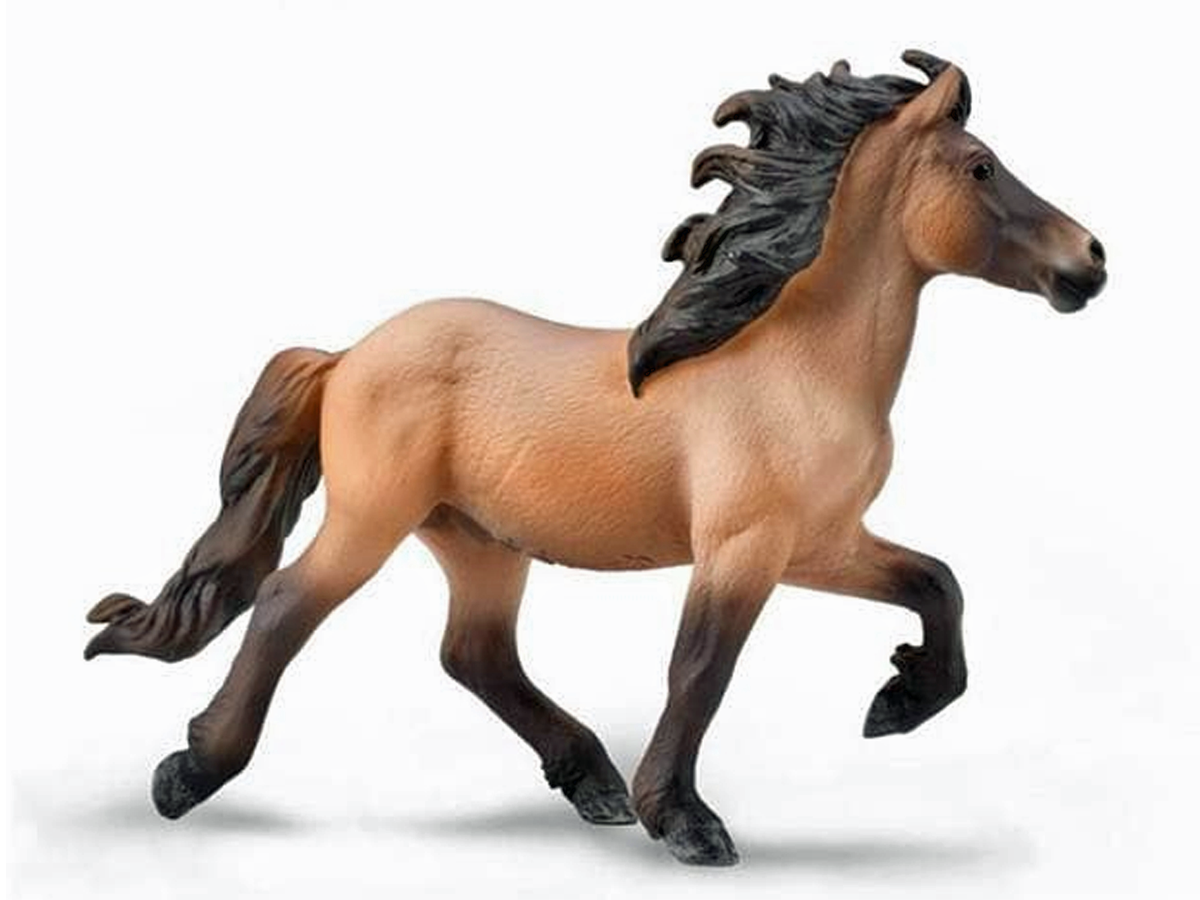CollectA Icelandic Stallion - Light Brown