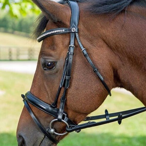 Henri de Rivel Diamonte Dressage Bridle (Black)