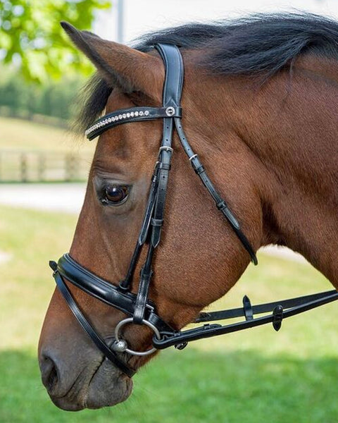 Henri de Rivel Diamonte Dressage Bridle (Black)