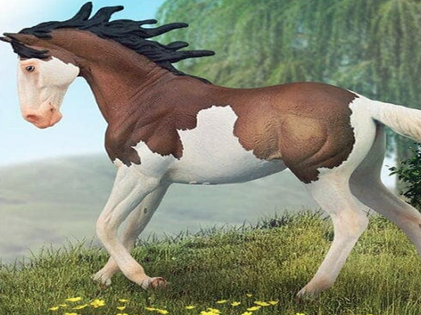 CollectA - Mustang Mare - Bay Splash Overo