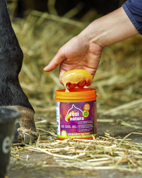 Equinatura Ice Cool Gel (600ml Jar)