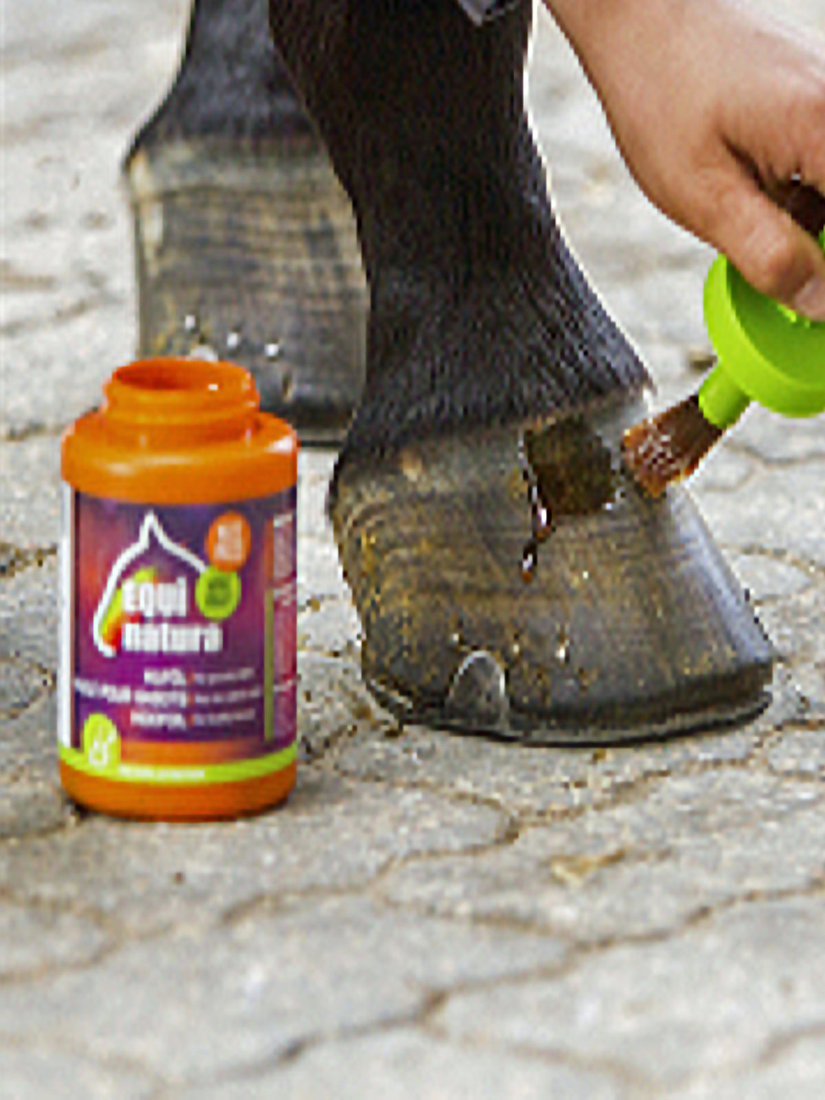 Equinatura Vegetable Hoof Oil with Brush (450 ml)